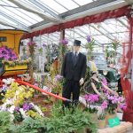 Kreativer Stand and er Orchideen und Tillandsienschau Hirschstetten