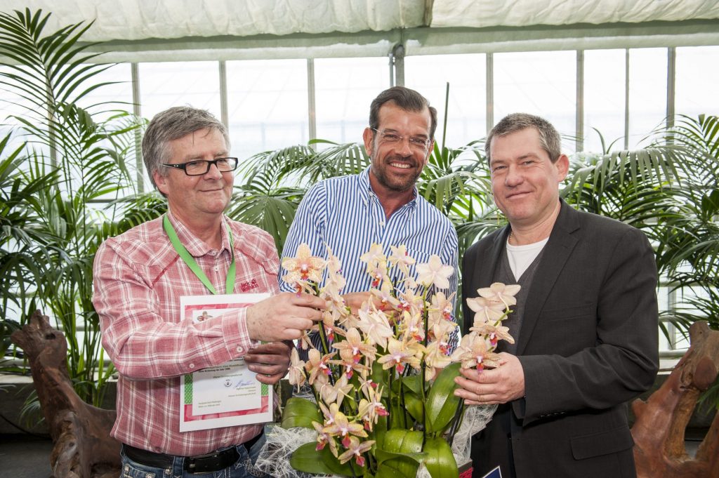 Orchideentaufe