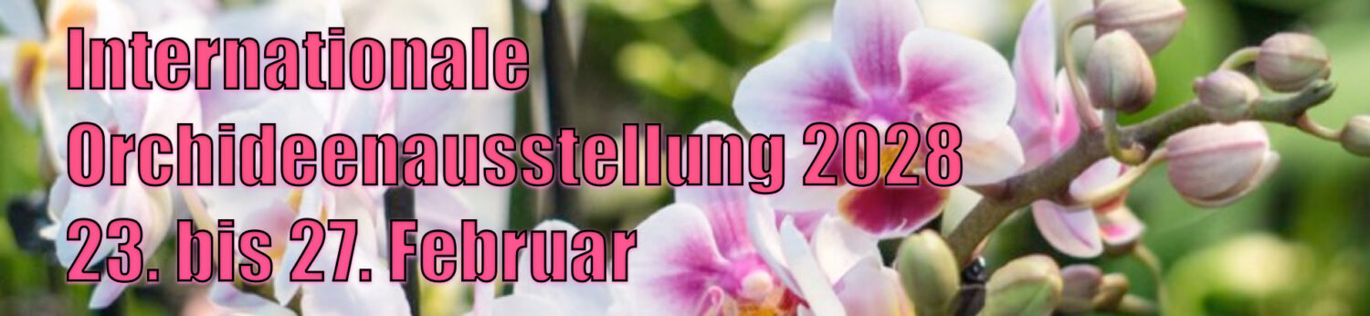 Orchideen- & Tillandsienschau